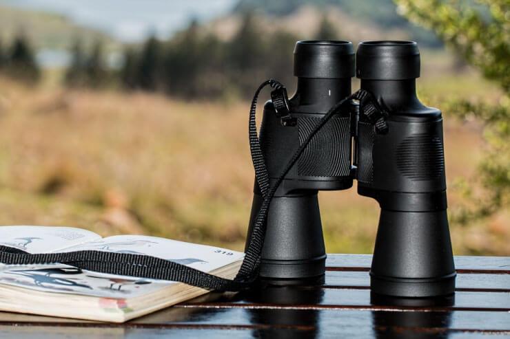 Essentials of Beginning Birdwatching: Must-Have Equipment List