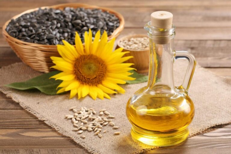 Оборудование для определения влажности масличных культур и его отличия, основные типы